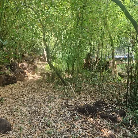 Mas De La Chamberte Holiday home